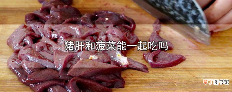 猪肝和菠菜能一起吃吗