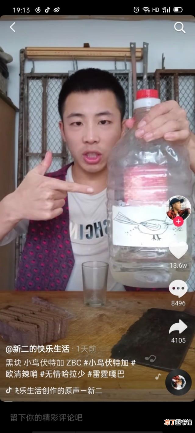 小鸟伏特加出处哪个地方 小鸟伏特加是什么意思