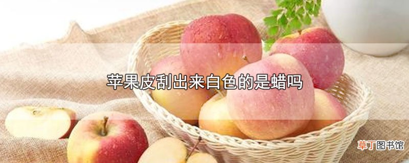 苹果皮刮出来白色的是蜡吗