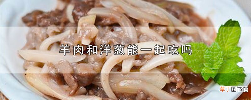 羊肉和洋葱能一起吃吗