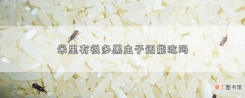 米里有很多黑虫子还能吃吗