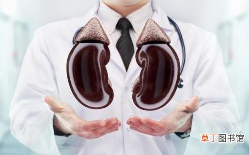 生活中肾好的人都有的特征 日常养肾护肾秘诀盘点