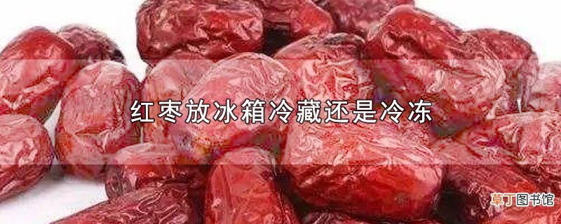 红枣放冰箱冷藏还是冷冻