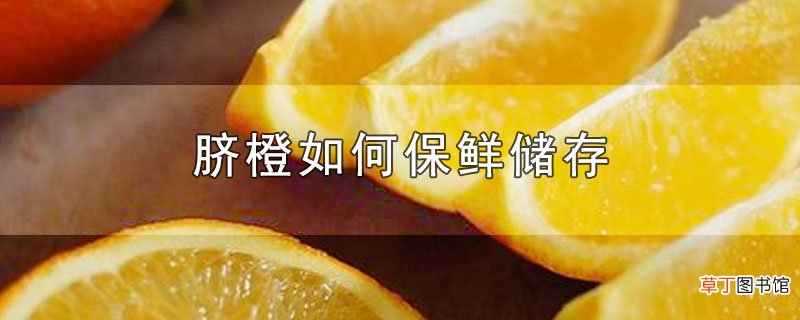 脐橙怎么保鲜储存