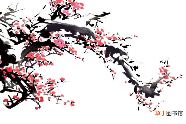 "吾家洗砚池头树,朵朵花开淡墨痕写的是什么"墨梅 古诗解释
