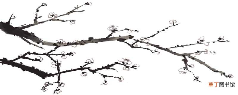 "吾家洗砚池头树,朵朵花开淡墨痕写的是什么"墨梅 古诗解释