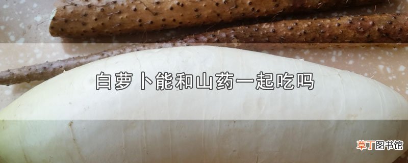 白萝卜能和山药一起吃吗
