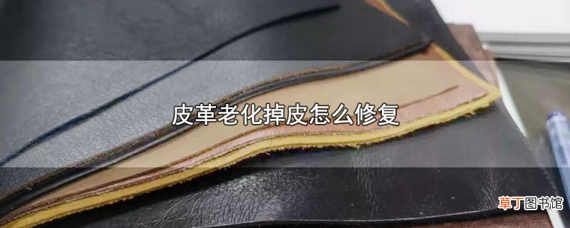 皮革老化掉皮怎么修复