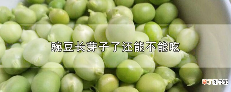 豌豆长芽子了还能不能吃