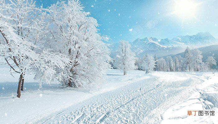 惊雪古诗意思 惊雪这首古诗的意思