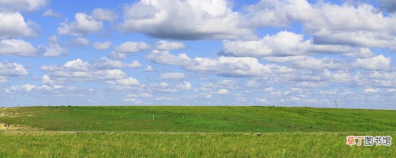 赋得古原草送别是白居易几岁时写的 古诗草白居易几岁写的