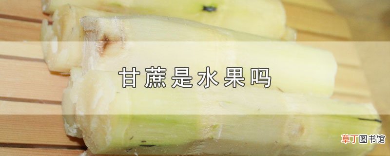 甘蔗是水果吗
