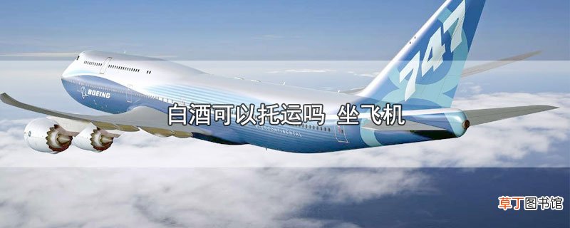 白酒可以托运吗 坐飞机