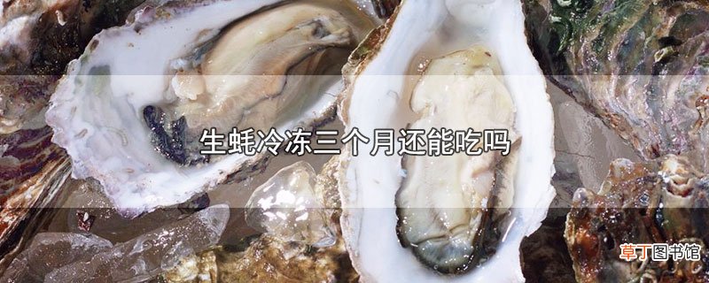 生蚝冷冻三个月还能吃吗