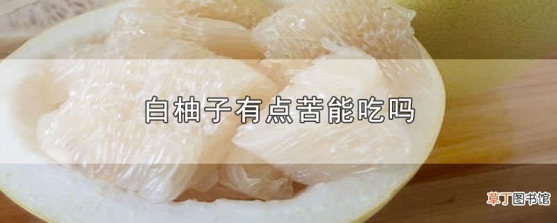 白柚子有点苦能吃吗