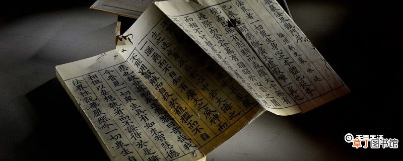 所操之术多异故也翻译 所操之术多异故也翻译为什么