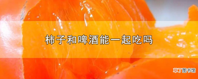 柿子和啤酒能一起吃吗