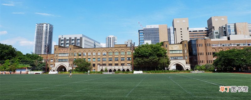 重庆七龙珠学校有哪些 重庆七龙珠学校分别有哪些