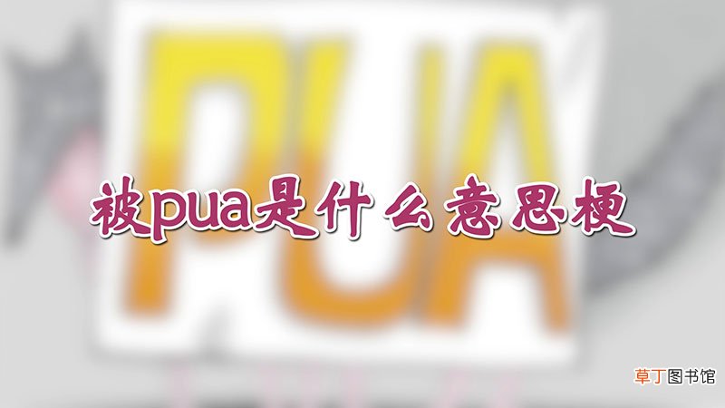 被pua是什么意思梗