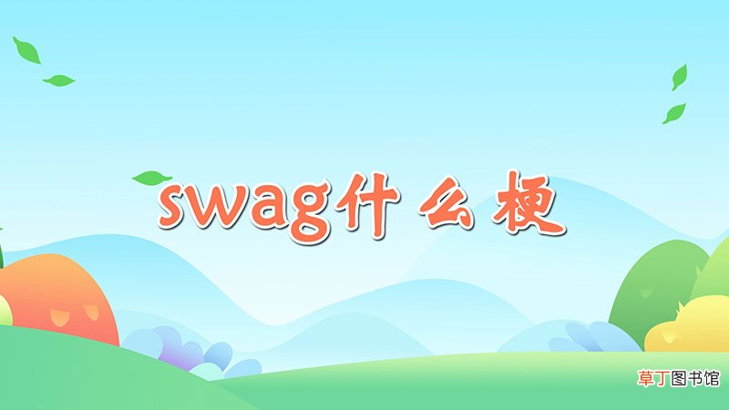 swag什么梗