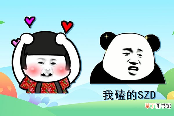 szd是什么意思