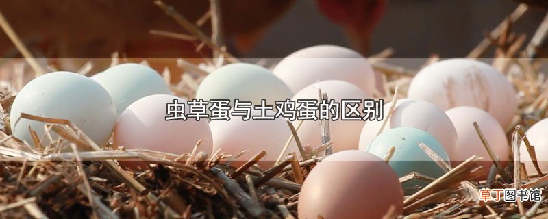 虫草蛋与土鸡蛋的区别