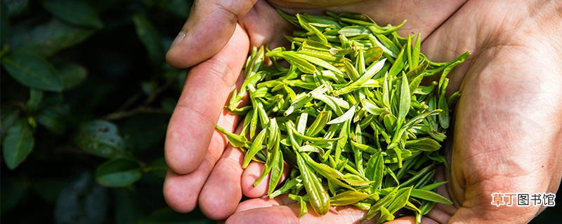 镇江有哪些特色名茶 江苏镇江特产