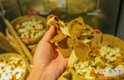 陈皮泡水的功效 使用陈皮的注意事项