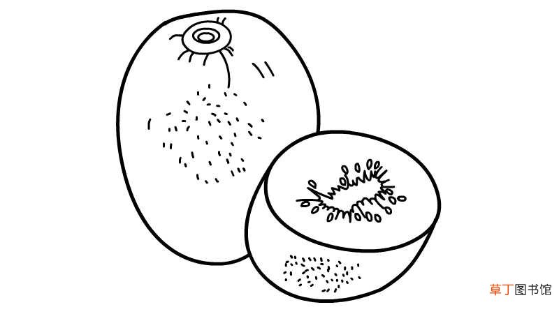 猕猴桃简笔画 猕猴桃简笔画怎么画