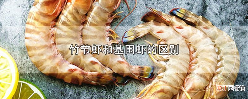 竹节虾和基围虾的区别