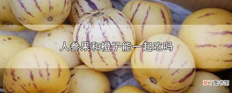 人参果和橙子能一起吃吗