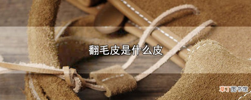翻毛皮是什么皮