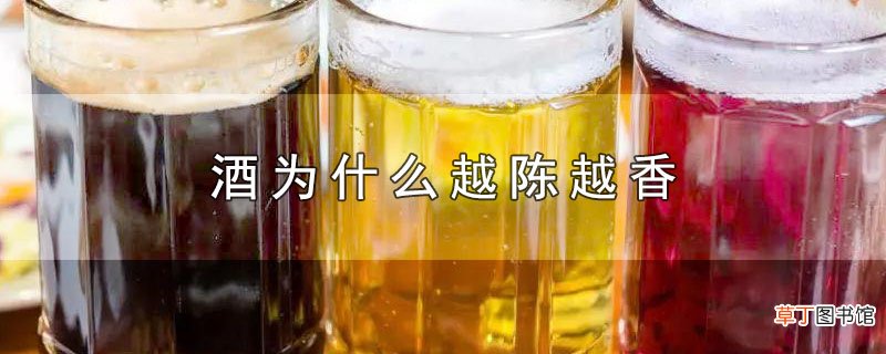 酒为什么越陈越香