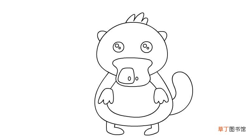 鸭嘴兽简笔画 鸭嘴兽简笔画怎么画