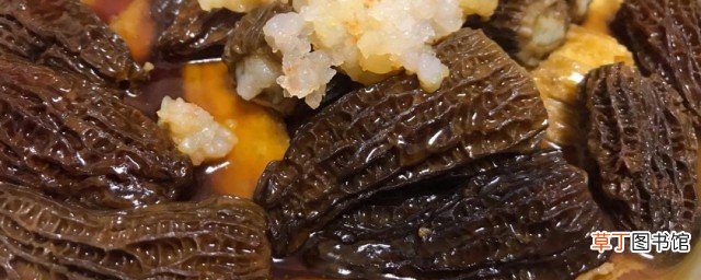 羊肚菌的做法大全家常 羊肚菌怎样做大全家常