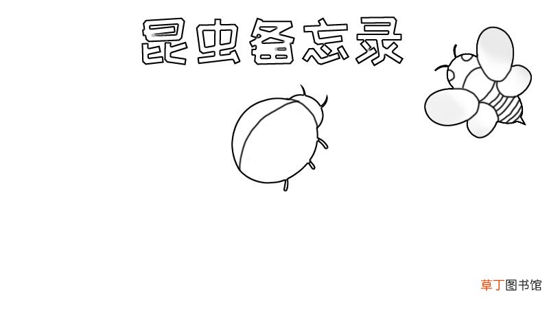 昆虫备忘录手抄报,昆虫备忘录手抄报画法