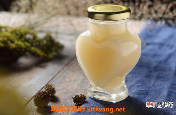 冬蜜的功效与作用 冬蜜的食用方法