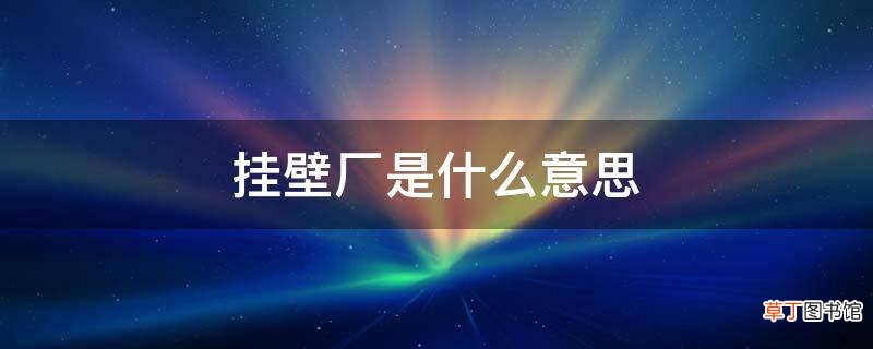 挂壁厂是什么意思