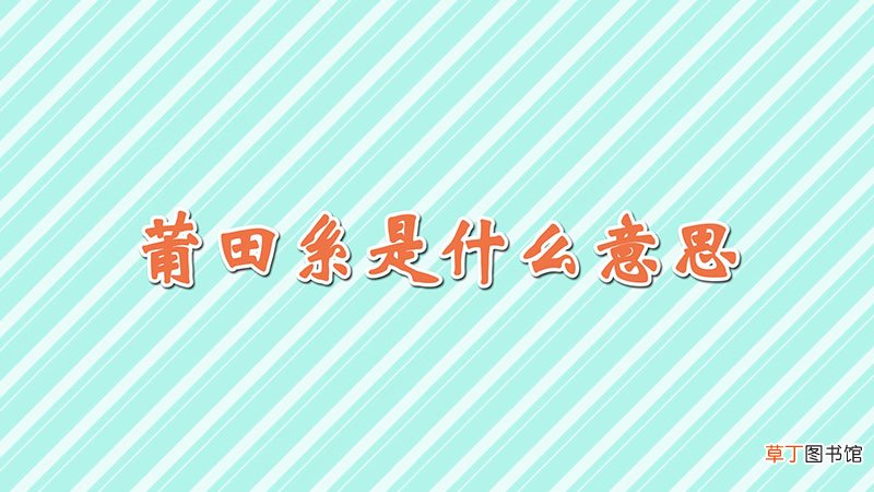 莆田系是什么意思