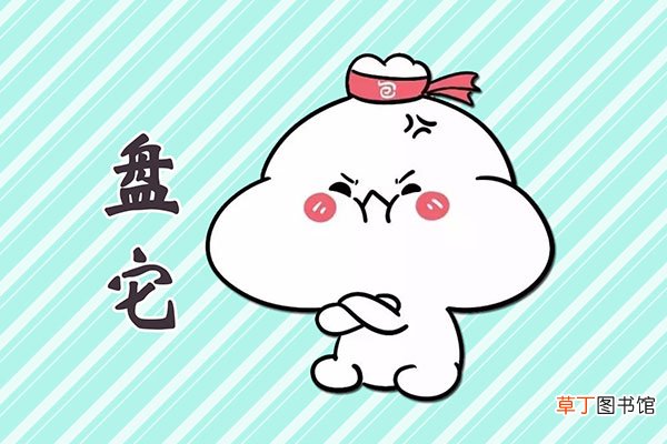 盘它是什么意思
