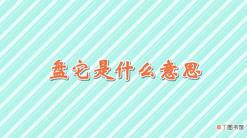 盘它是什么意思