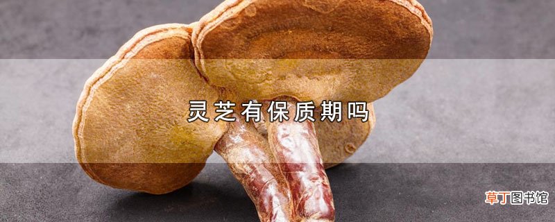 灵芝有保质期吗