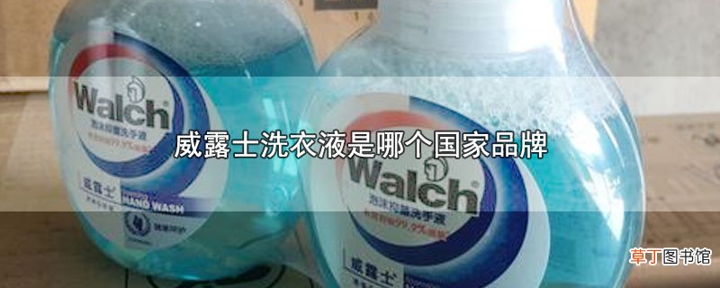 威露士洗衣液是哪个国家品牌