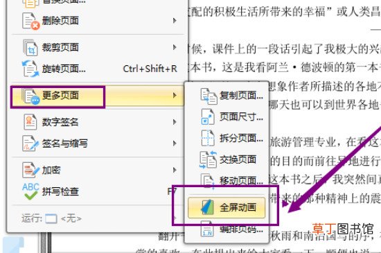 pdf全屏自动播放怎样设置
