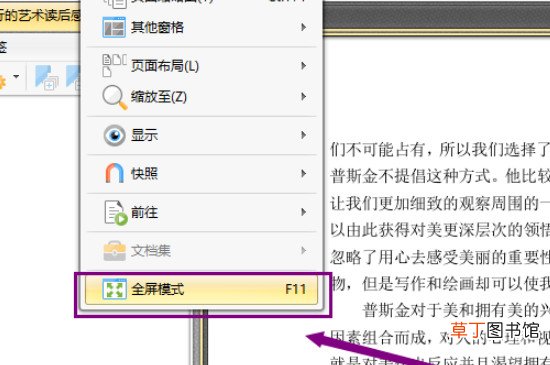 pdf全屏自动播放怎样设置