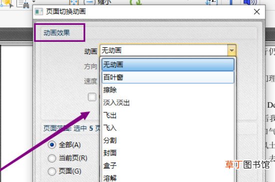 pdf全屏自动播放怎样设置