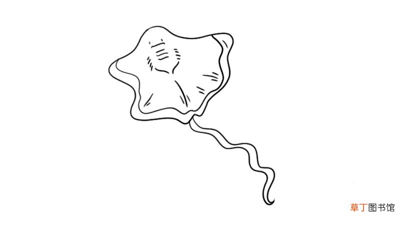 魔鬼鱼简笔画 魔鬼鱼简笔画怎么画