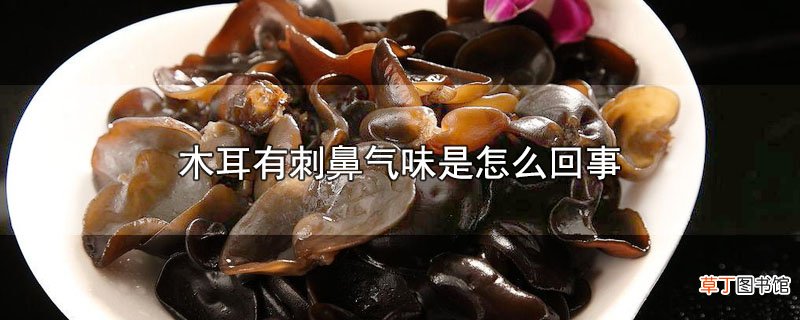木耳有刺鼻气味是怎么回事