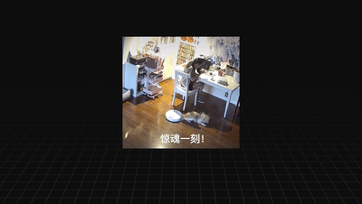 哪些牌子的洗地机质量好 洗地机什么牌子最好