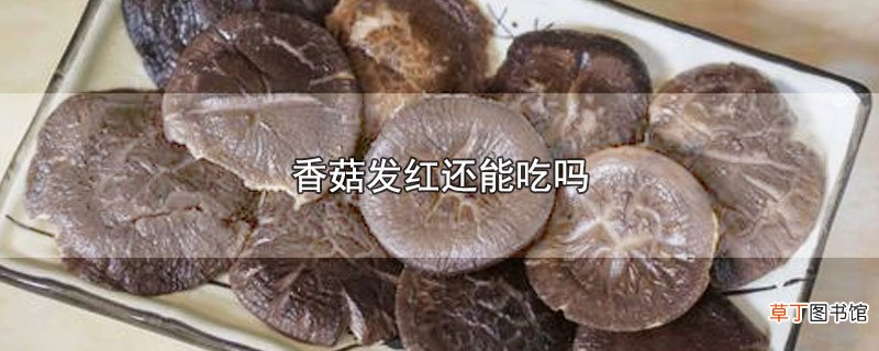 香菇发红还能吃吗